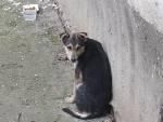 ;) 
si asta pt ca eu cand aud o veste buna parca merita tot stresul si efortul si nervii si banii si